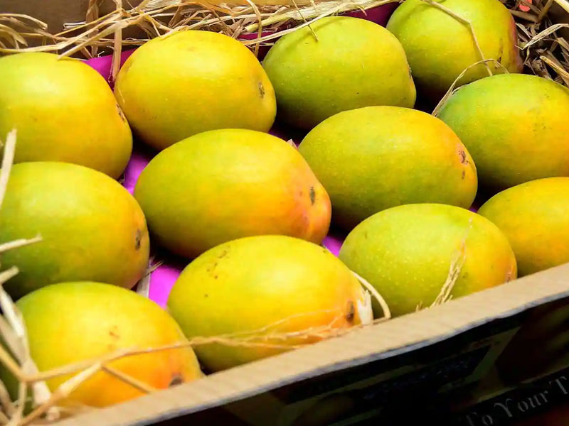 Fresh Mango