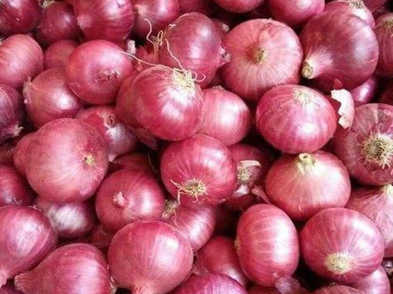 onion